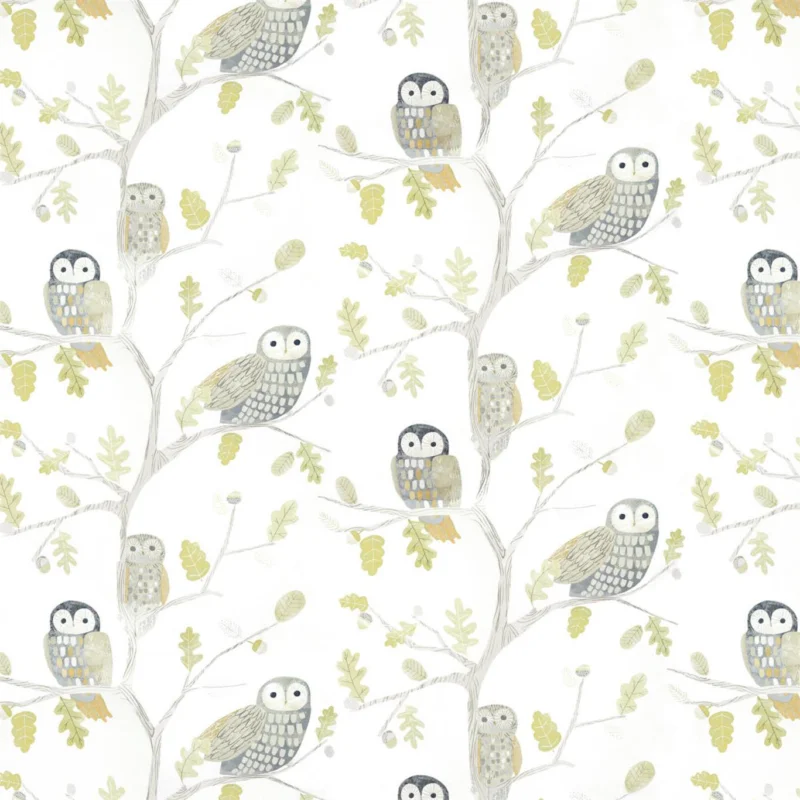 Commande En Gros LITTLE OWLS