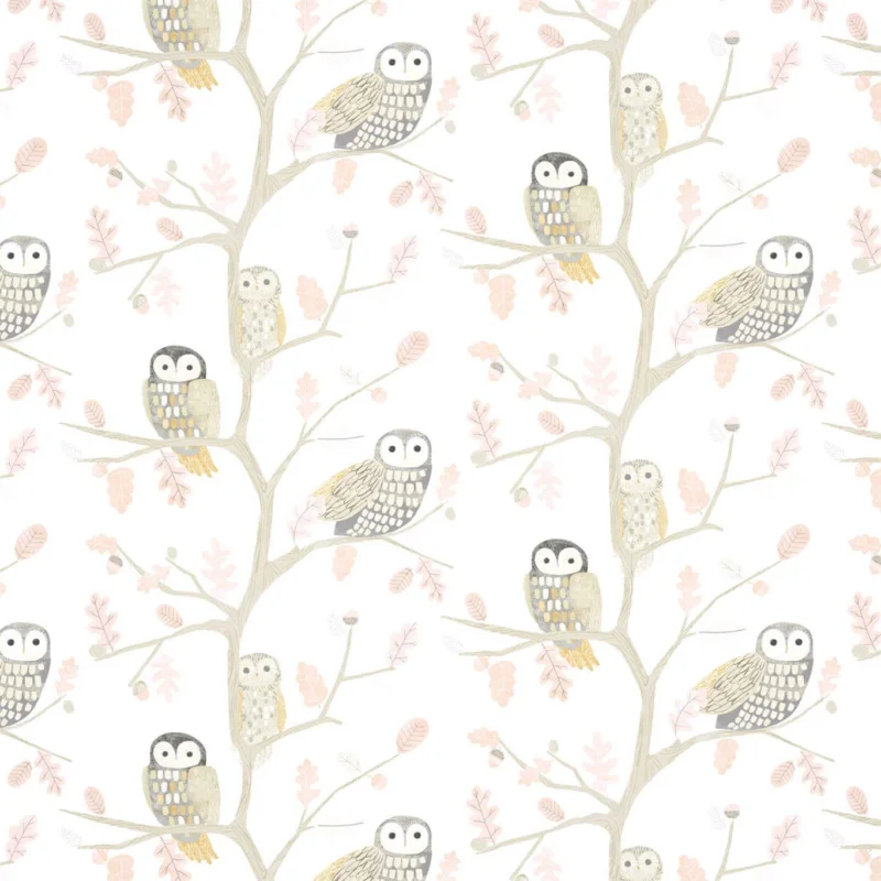 Nouvel Arrivage LITTLE OWLS