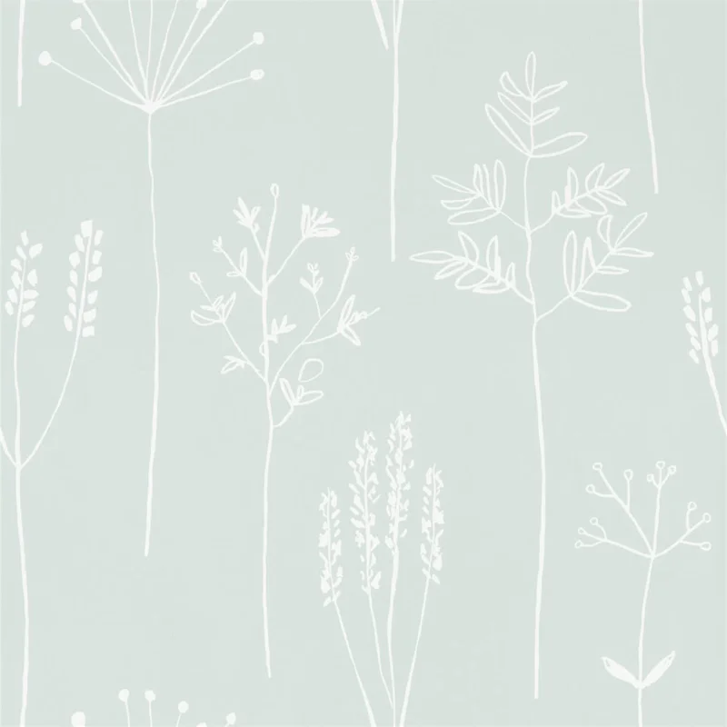 Acheter En Ligne Stipa