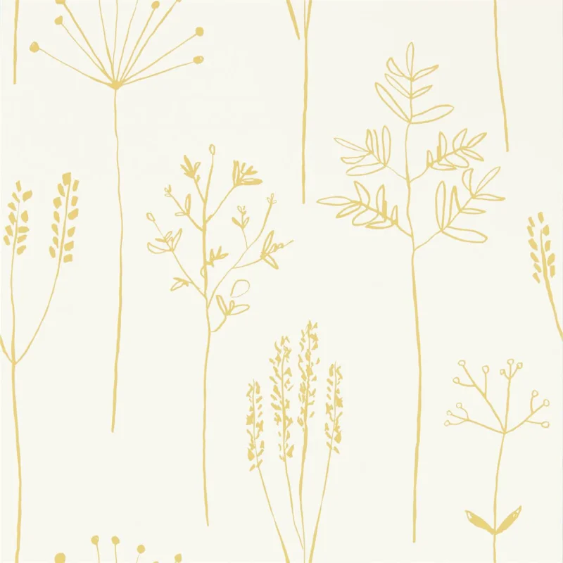 Retour Gratuit Stipa