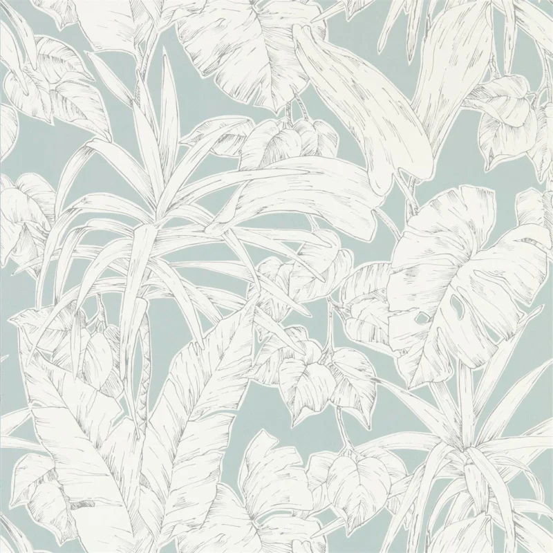 Parlour Palm Dernier Modèle