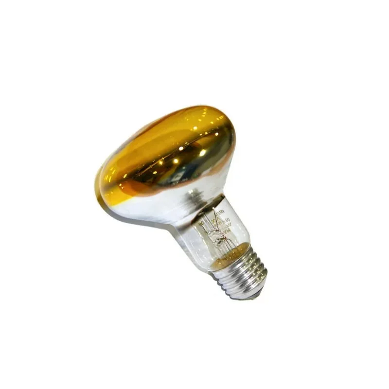Acheter Direct Leuci Ampoule réflecteur E27 60W 230V