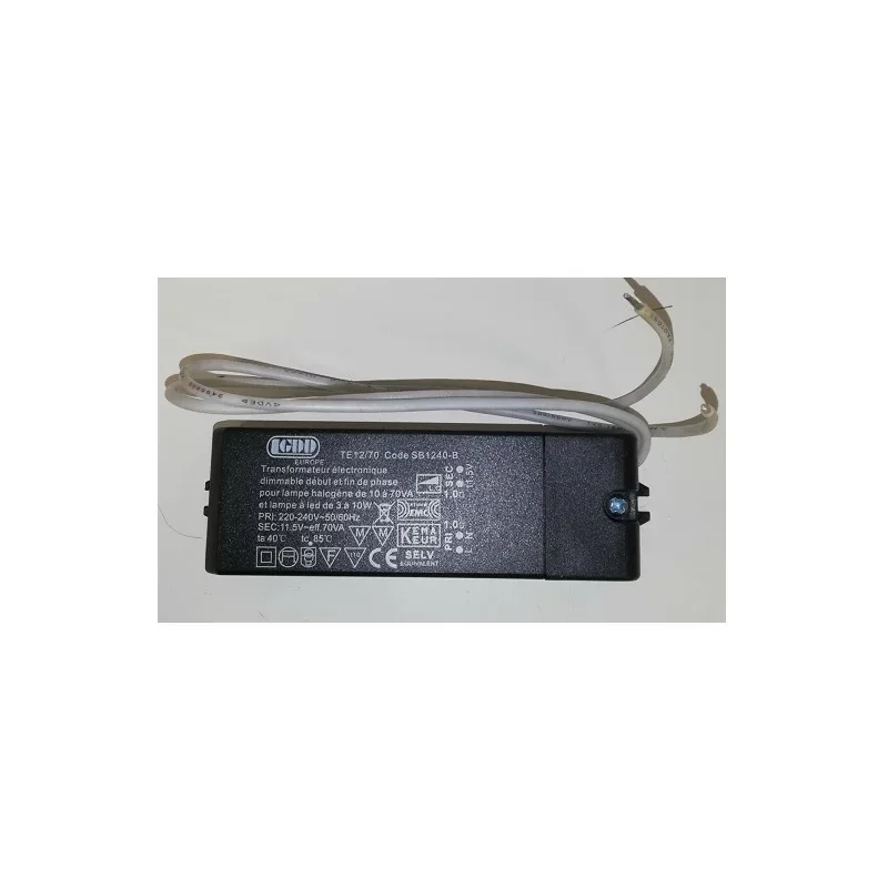 Transformateur électronique sécurité lampes halogènes 12V Offre Exclusive