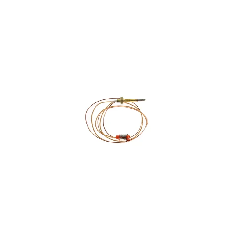 Prix Cassé Fagor 74X6024 Thermocouple four