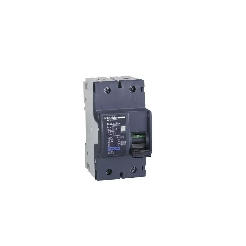 Jusqu'à Épuisement Des Stocks Schneider 18875 Disjoncteur moteur NG125LMA 63A 2P 2D
