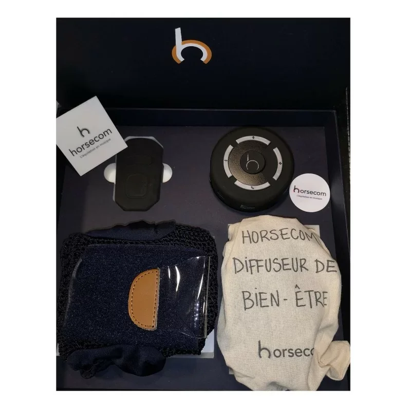 Kit Casque Audio bluetooth pour cheval et cavalier - Horsecom Achetez Aujourd'hui