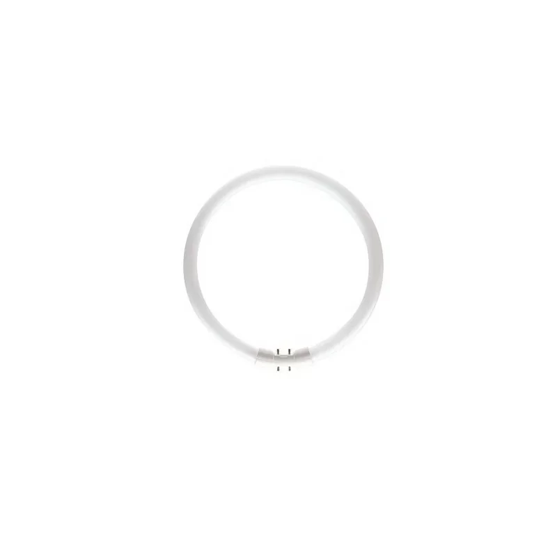 Meilleur Prix Leuci Ampoule circulaire 2GX13 22W 840 - 1800LM - FC5