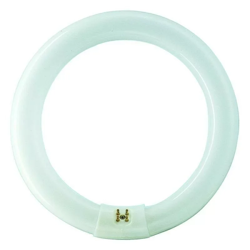 Offre Limitée Philips 559678 Ampoule G10q 32W 830 - MASTER TL-E Circular Super 80 - Blanc Chaud