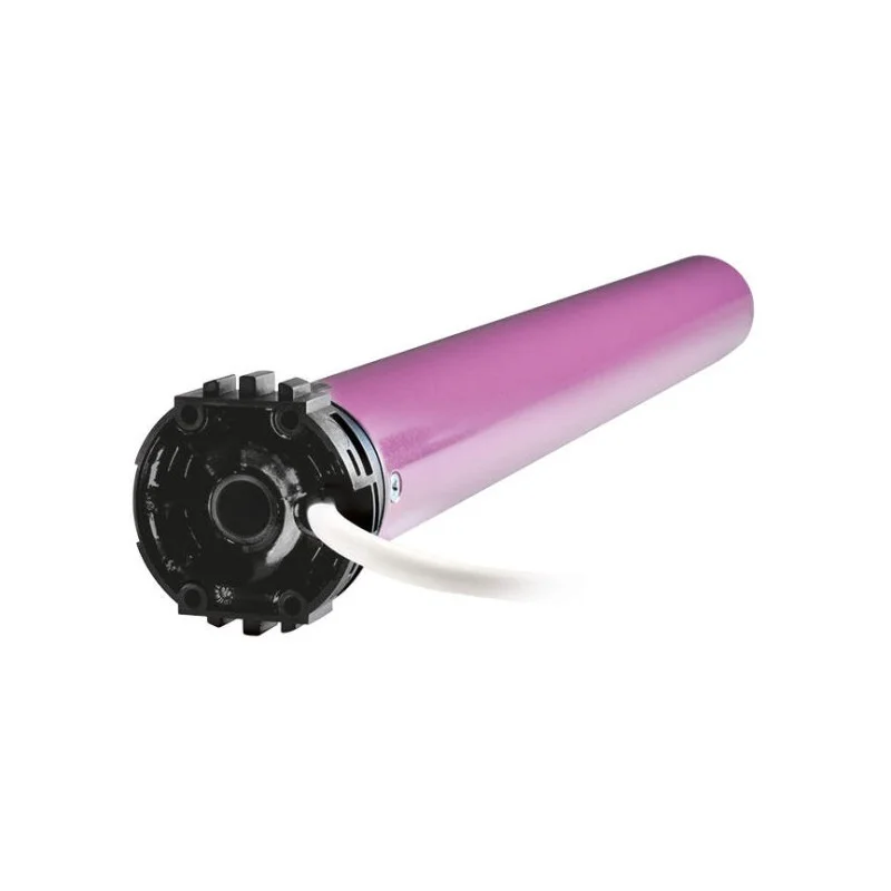 Delta Dore RL5030F 7011523 Moteur Filaire pour volet roulant Rollia 30 Nm Seulement Aujourd'hui