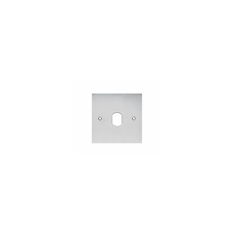 Aiphone VIG60 Façade inox percée diamètre 25 mm pour lecteur VIGK+ pour fixation sur pot 67 mm Affaire À Saisir