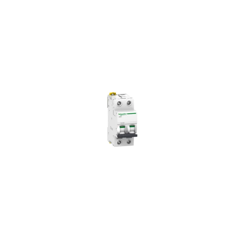 Schneider A9F73210 Acti9, iC60N disjoncteur 2P 10A courbe B Affaire À Saisir