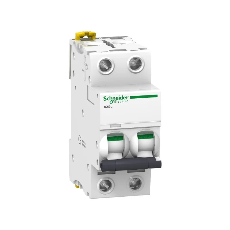 Paiement Sécurisé Schneider A9F93250 Acti9, iC60L disjoncteur 2P 50A courbe B