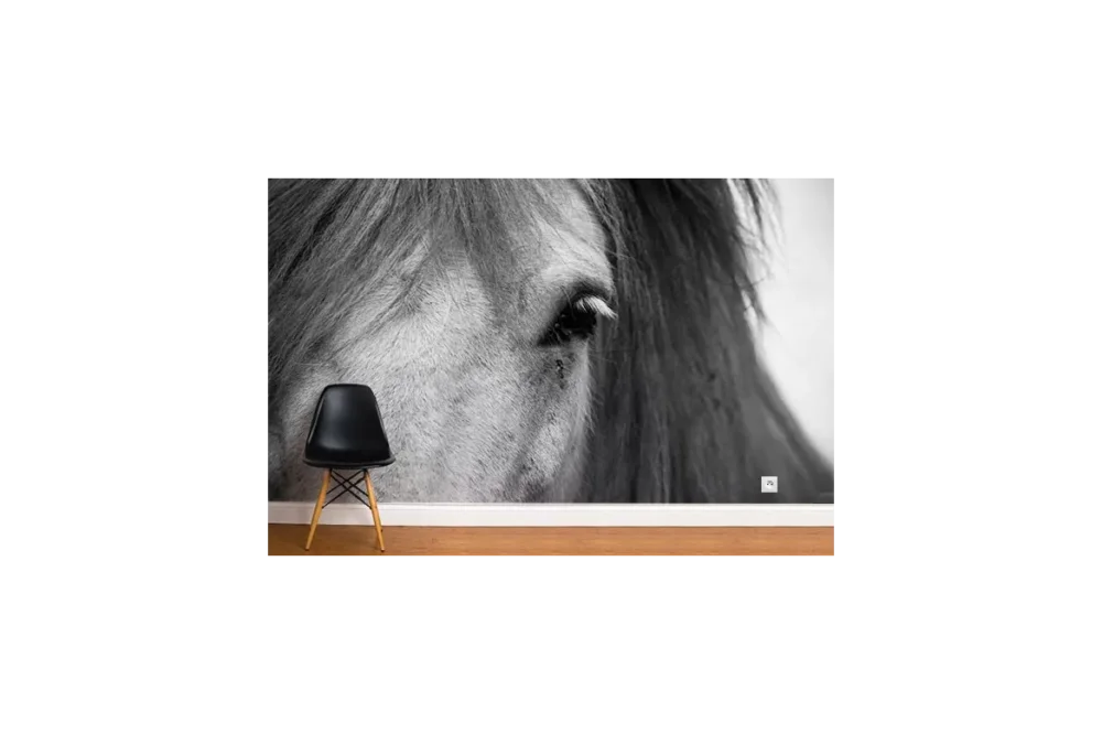 Paiement Sécurisé Papier Peint Photo Cheval